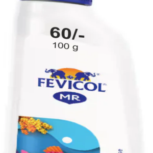 Fevicol MR 100g-Mrp. 60/-
