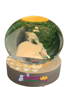 Crystal Ball Night Light with Wooden Base (Premanand Ji Maharaj)-3D